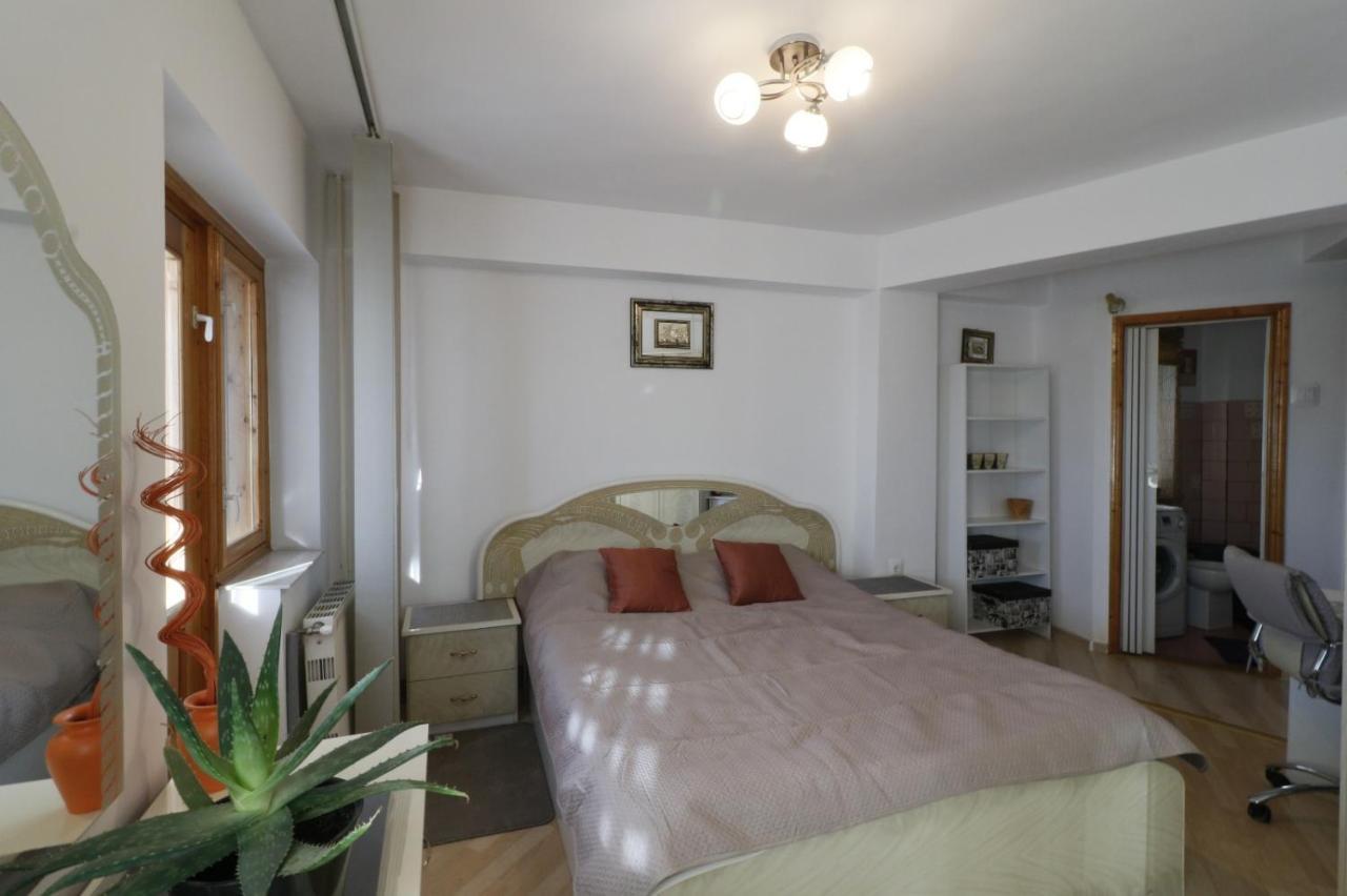 Danielle Apartament Iasi Exteriér fotografie